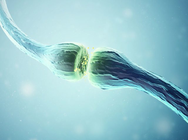 synapse-neuron-cells-sending-electrical-chemical-signals