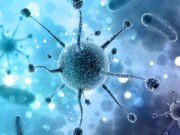 Huge bacteria-eating viruses close the gap between life and non-life