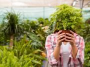 How plants sound the alarm about danger