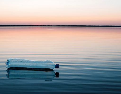 Plastic pollution reaching Antarctica