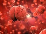 New metabolism discovered in bacteria