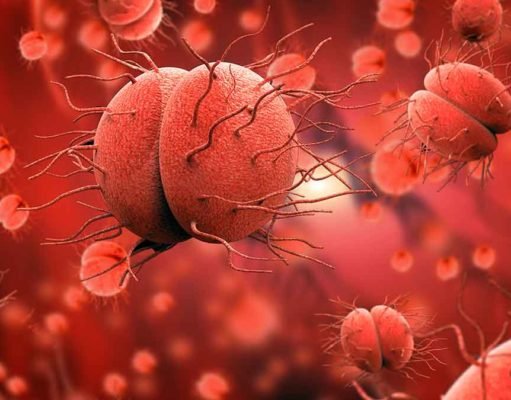 New metabolism discovered in bacteria