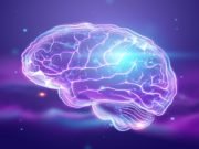 Electronics that mimic the human brain in efficient learning