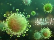 Are animals vulnerable to COVID-19