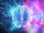 Nerve finding unravels mystery about communication between the gut and brain