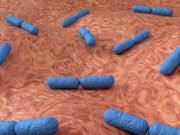 Plants control microbiome diversity inside leaves to promote health