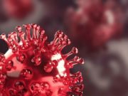 Viruses don’t have a metabolism; but some have the building blocks for one