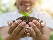 Environmental activism goes digital in lockdown—but could it change the movement for good?