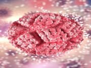 Plant viruses could be used to prevent and treat human autoimmune diseases