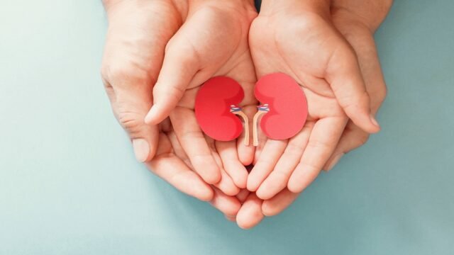 Adult and child holding kidney shaped paper, world kidney day, N