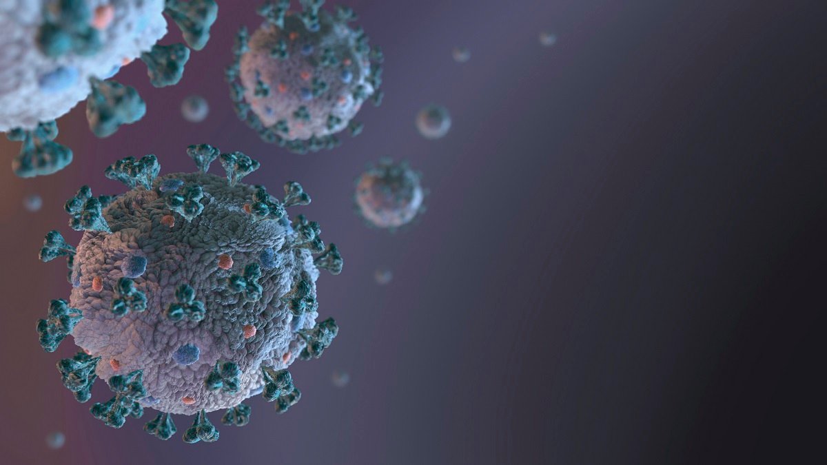 Evolution of pandemic coronavirus outlines the path from animals to humans