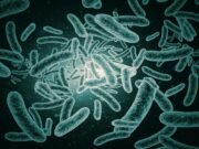 Scientists observe bacteria tumble their way out of surface traps