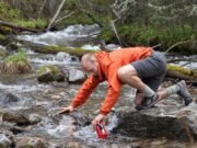 Scientists find first evidence of microplastics passing from insects to predators in rivers