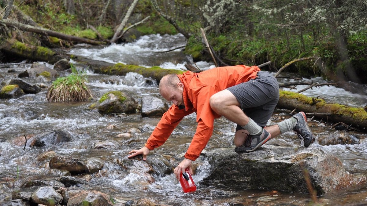 Scientists find first evidence of microplastics passing from insects to predators in rivers