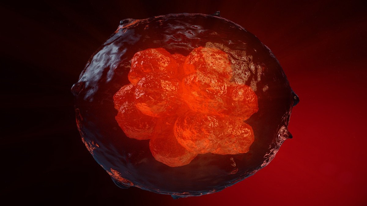Human embryo-like model created from human stem cells