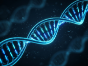 What Is DNA? The Complete Guide to the Double Helix A glowing blue DNA double helix rendered against a dark background