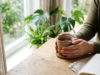 Hands resting around a warm cup of tea beside a window, a calm scene suggesting anxiety relief