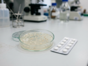 Antibiotic Resistance: Why Antibiotics Are Stopping Work A petri dish containing bacterial colonies beside an antibiotic blister pack on a laboratory bench