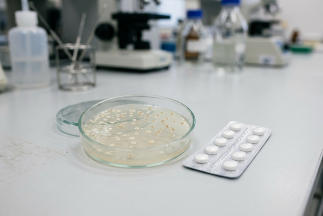 A petri dish containing bacterial colonies beside an antibiotic blister pack on a laboratory bench A petri dish containing bacterial colonies beside an antibiotic blister pack on a laboratory bench