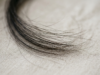 A fine brush of dark hair strands fanned across a pale neutral surface