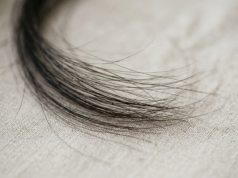 Hair Loss: 10 Causes, Types and What Actually Works A fine brush of dark hair strands fanned across a pale neutral surface