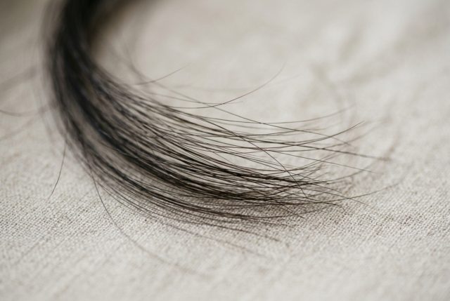 A fine brush of dark hair strands fanned across a pale neutral surface A fine brush of dark hair strands fanned across a pale neutral surface