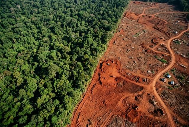 Aerial view of the sharp boundary between dense rainforest canopy and cleared bare land Aerial view of the sharp boundary between dense rainforest canopy and cleared bare land