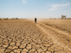 Super El Niño and India: What It Means for the Monsoon Parched cracked farm field under a harsh sun with a lone farmer in the distance