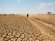 Super El Niño and India: What It Means for the Monsoon Parched cracked farm field under a harsh sun with a lone farmer in the distance