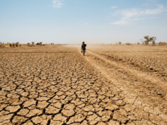 Super El Niño and India: What It Means for the Monsoon Parched cracked farm field under a harsh sun with a lone farmer in the distance