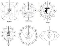Energy Healing: Pranic Healing, Aura Cleansing, Colour Therapy and EFT Diagram of the seven chakras