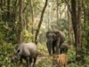 Extinct Animals in India: 10 Species We Have Lost Illustration of extinct Indian wildlife in a forest
