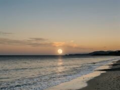 How Tides Work: Why the Moon and Sun Pull the Ocean Ocean waves rolling onto a beach at low tide with the Moon in the sky