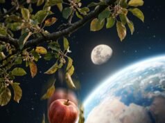 What Is Gravity? How It Works, From Falling Apples to Orbiting Planets Apple falling from a branch with the Earth and Moon in the background